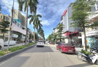 Liền Kề Tân Tây Đô Có Đáng Đầu Tư Năm 2026