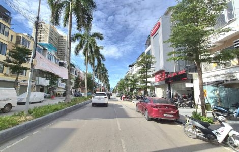 Liền Kề Tân Tây Đô Có Đáng Đầu Tư Năm 2026