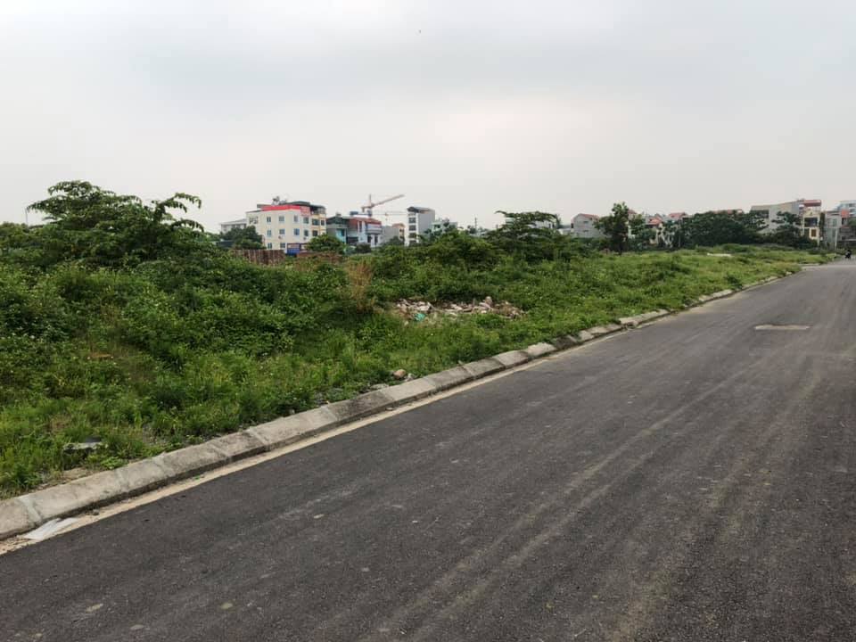 cập nhật đất dịch vụ thăng long 9 3