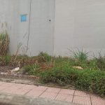 bán 6.9 ha vân canh