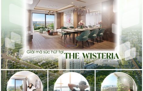 dự án chung cư wisteria