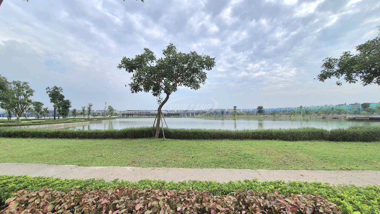 Khu đô thị Hinode Royal Park 9