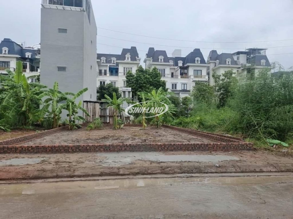 khu đất dịch vụ 5.5 ha