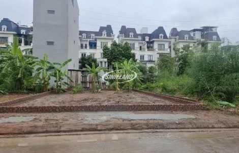 khu đất dịch vụ 5.5 ha