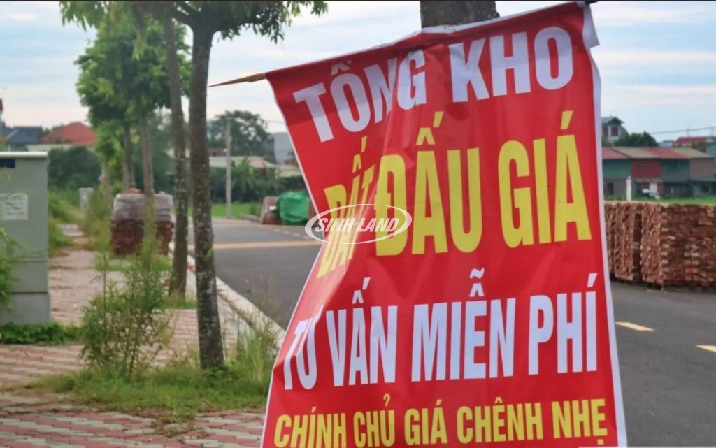 đấu giá đất tại hà nội