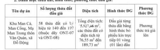  hà nội đấu giá đất