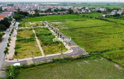 nội dung đấu giá đất