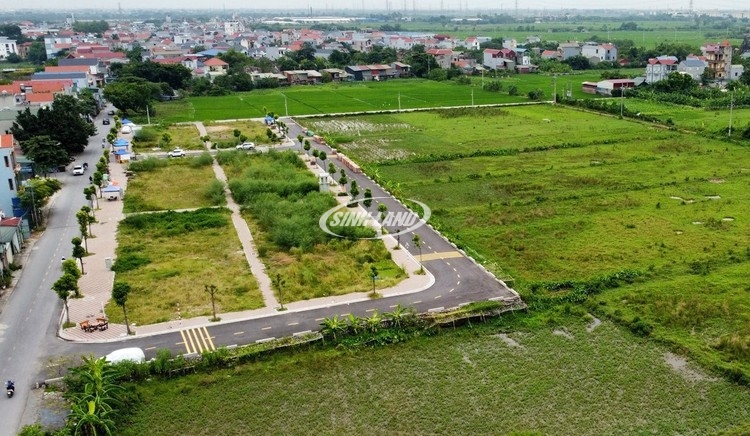 nội dung đấu giá đất