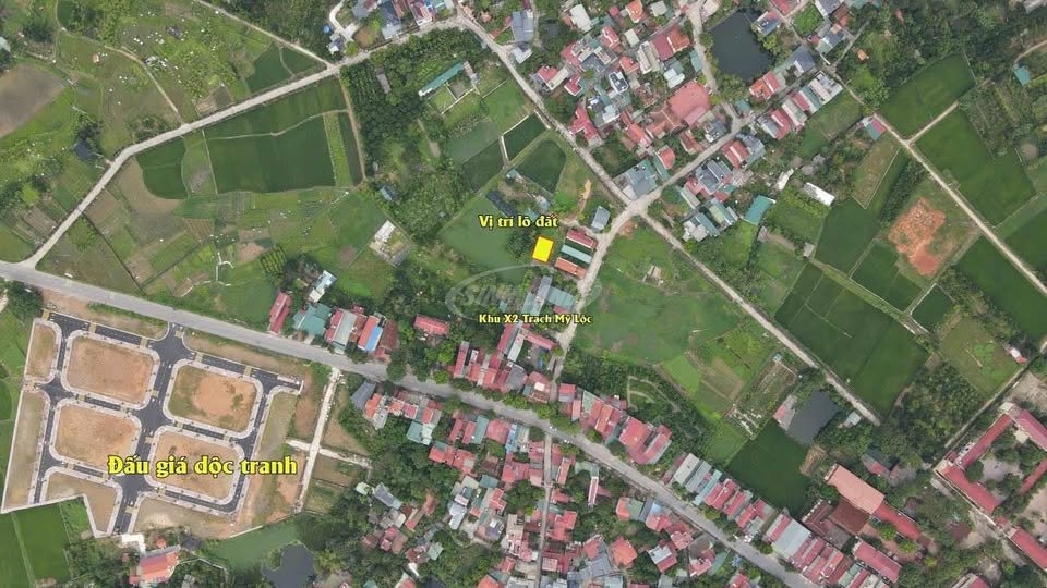 giá trúng đấu giá phúc thọ