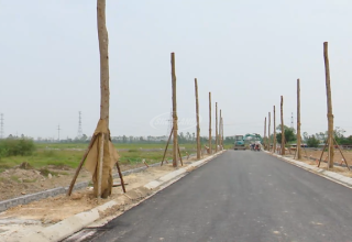 đất trúng đấu giá