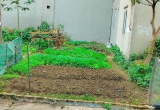 bán đất trạm trôi lô góc