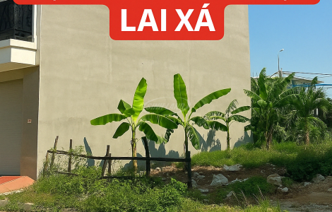 Bán đất dịch vụ công nghiệp Lai Xá