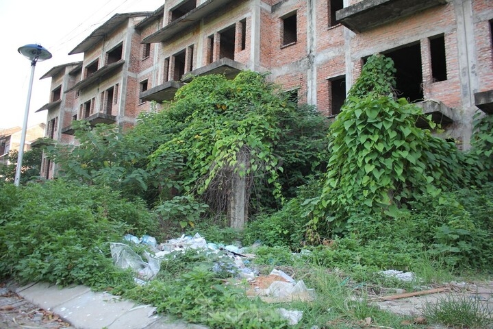 liền kề biệt thự bỏ hoang