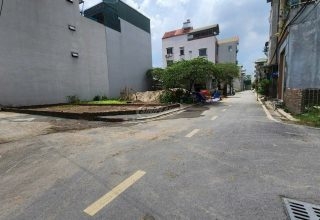 khu đất đấu giá ao ngòi