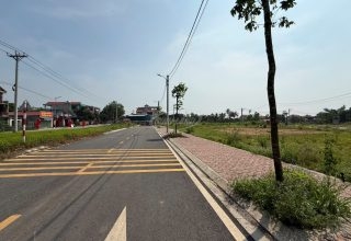 bán đất đấu giá dộc tranh trạch mỹ lộc