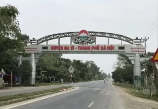 đấu giá ba vì