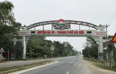 đấu giá ba vì