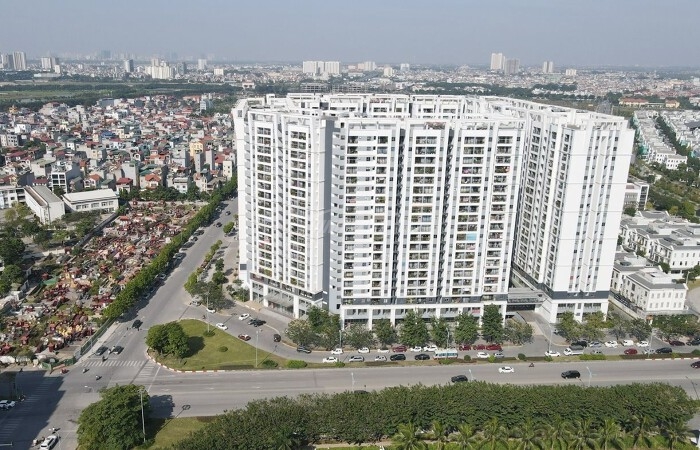 NOXH hà nội