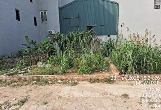 dịch vụ cựu quán đức thượng