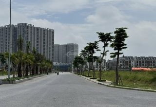 bán đất dịch vụ di trạch gần đường 3.5