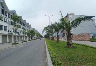bán đất dịch vụ lai xá hinode