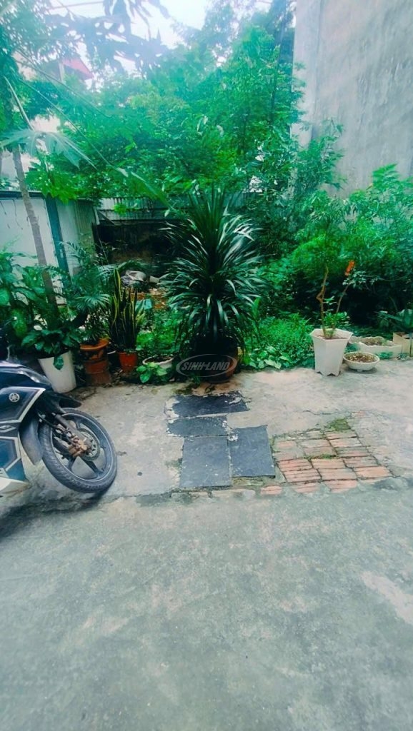 bán đất đức thượng không lỗi