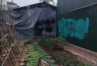 đất tân lập đan phượng