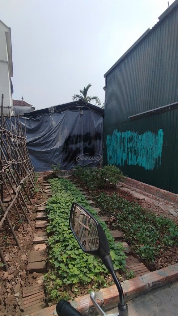 đất tân lập đan phượng