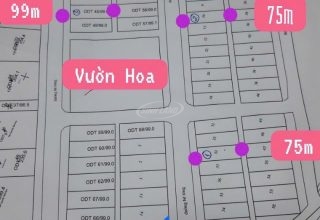 bán đất đấu giá thị trấn phùng