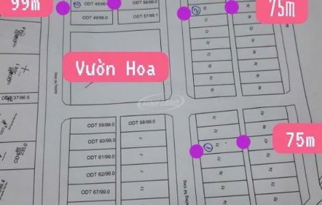 bán đất đấu giá thị trấn phùng