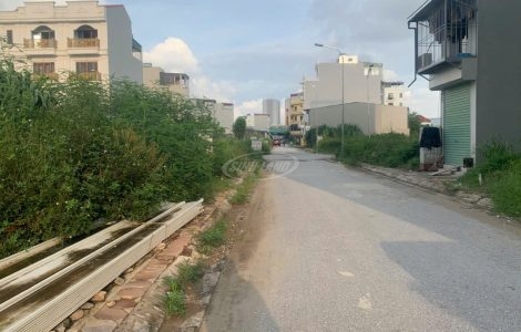 Bán đất dịch vụ 5.5 ha xã Hoài Đức