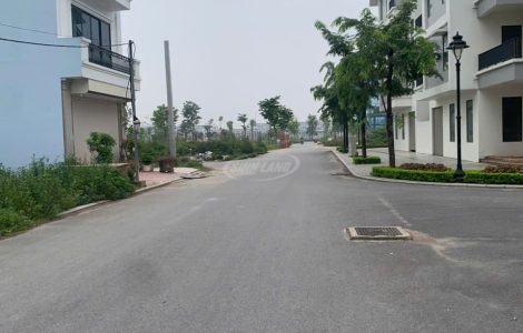 dịch vụ thăng long 9 hoài đức