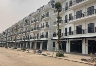Đấu giá Đông Dương Đức Thượng