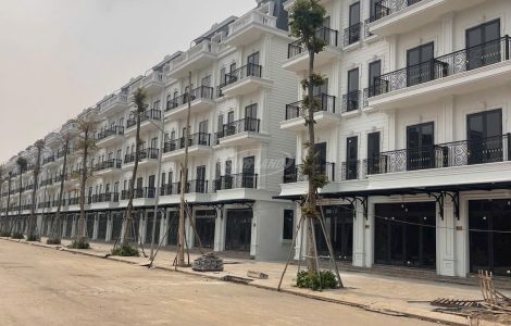 Đấu giá Đông Dương Đức Thượng