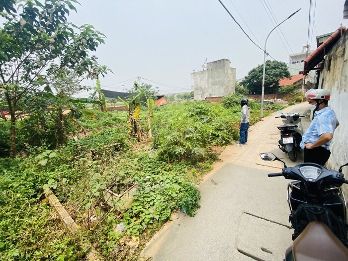 lướt sóng bất động sản