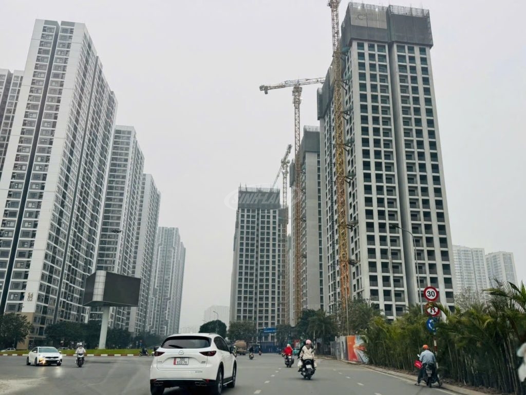 chủ đầu tư ra hàng