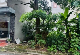khu dịch vụ tân tây đô