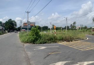 Khu đấu giá Dộc Tranh Phúc Thọ