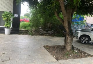đất đấu giá đống sành