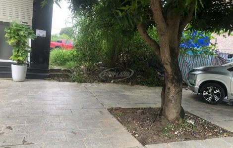 đất đấu giá đống sành