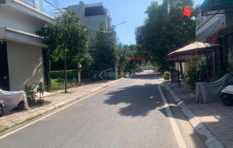 đấu giá chất lượng cao