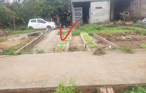 Bán đất xã Phúc Thọ