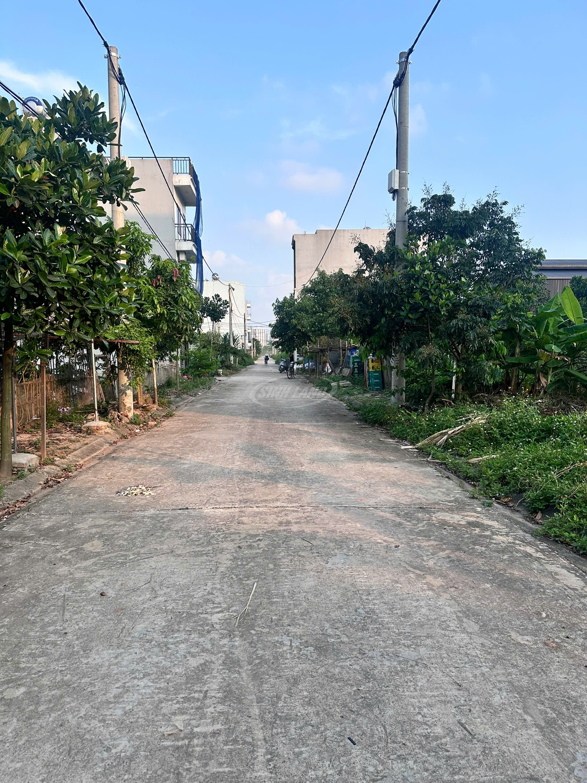 Đất dịch vụ Lại Yên 2025