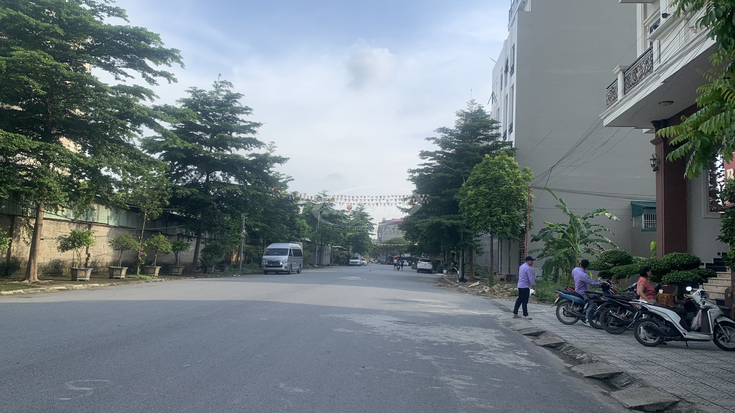 khu đấu giá trũng trên lai xá