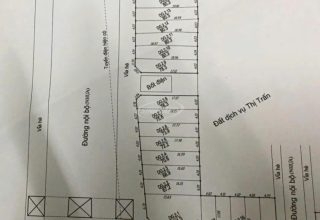 bán đất đấu giá lideco