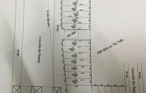 bán đất đấu giá lideco