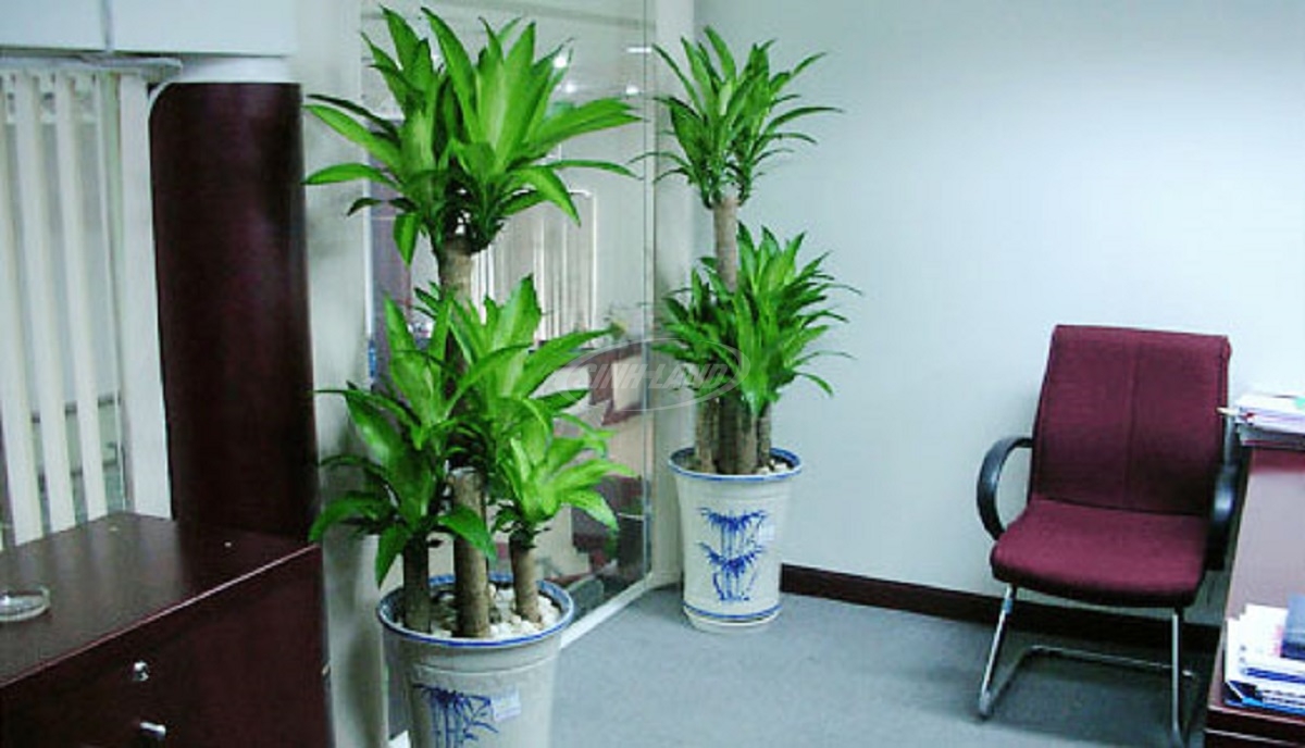 Thiết kế không gian truyền cảm hứng sáng tạo