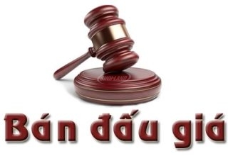 sơ đồ các khu đấu giá