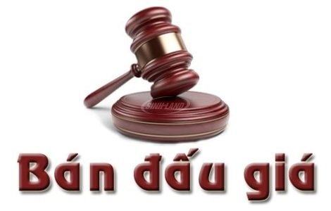 sơ đồ các khu đấu giá