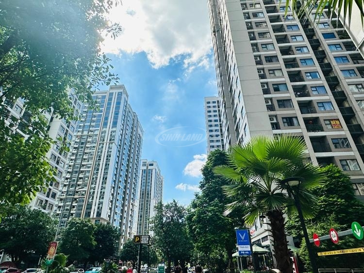 chung cư hà nội chững lại